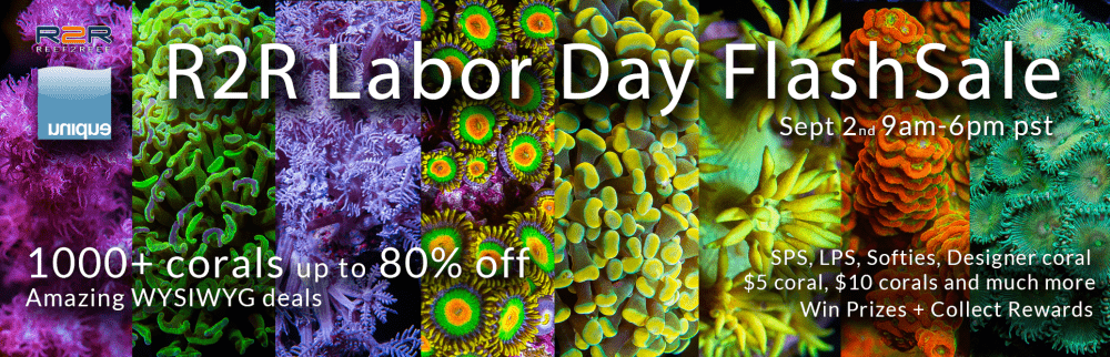 LaborDay-R2R-sale-sept2 (1).png