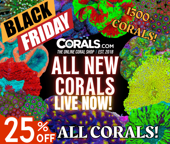 Copy of new corals 11.24.png