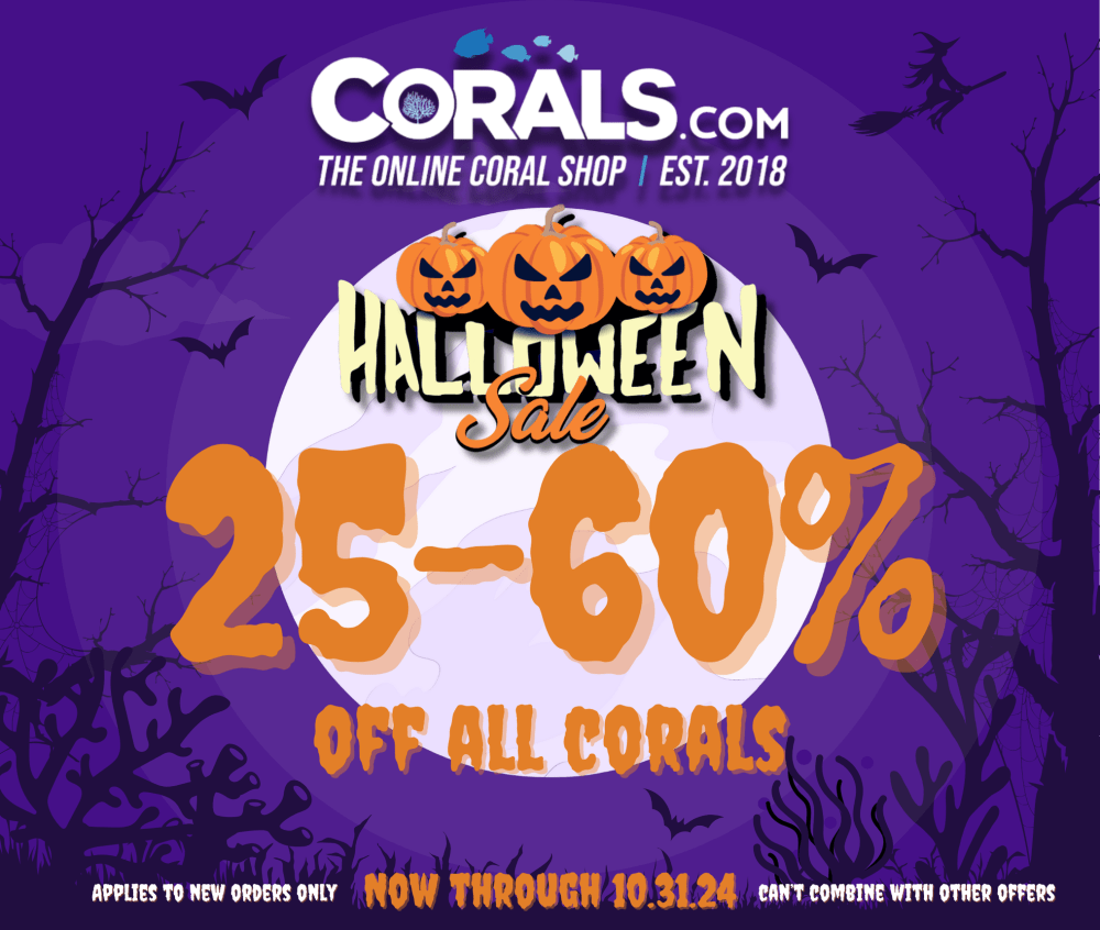 Halloween Sale 2024(3).png