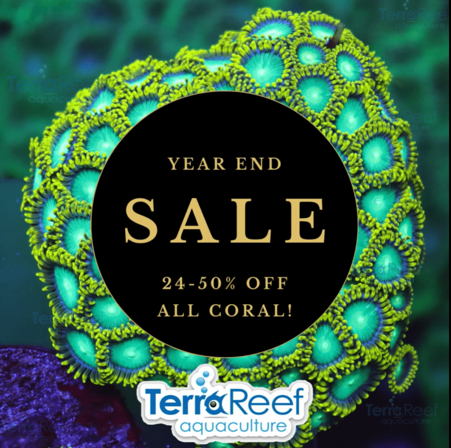 TerraReef Aquacultured Coral Black and Gold End of Year coral Sale.PNG