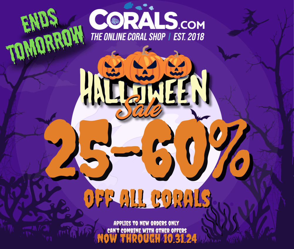 Copy of Halloween Sale 2024(1).png