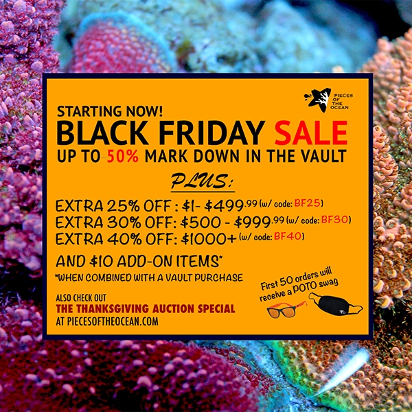 blackfriday2020_600X600.jpg