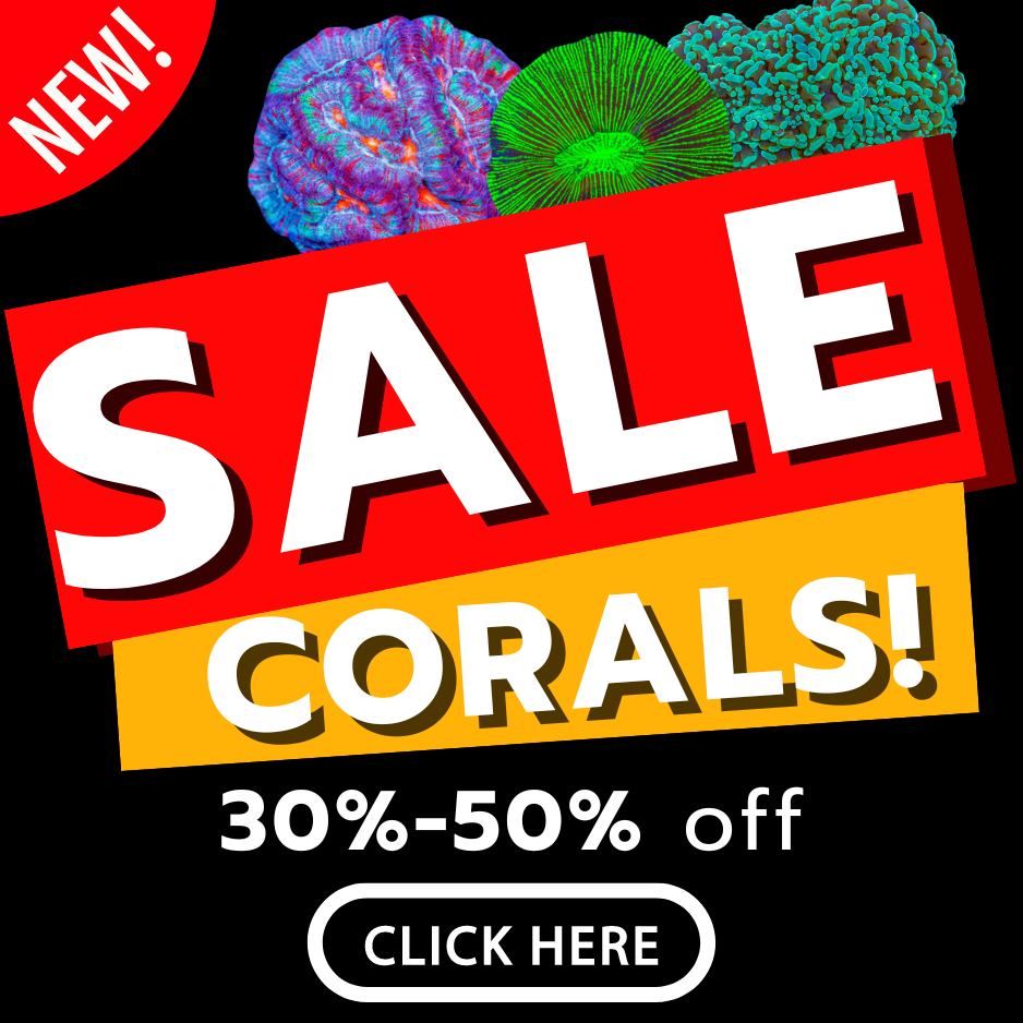 sale poster(2).png