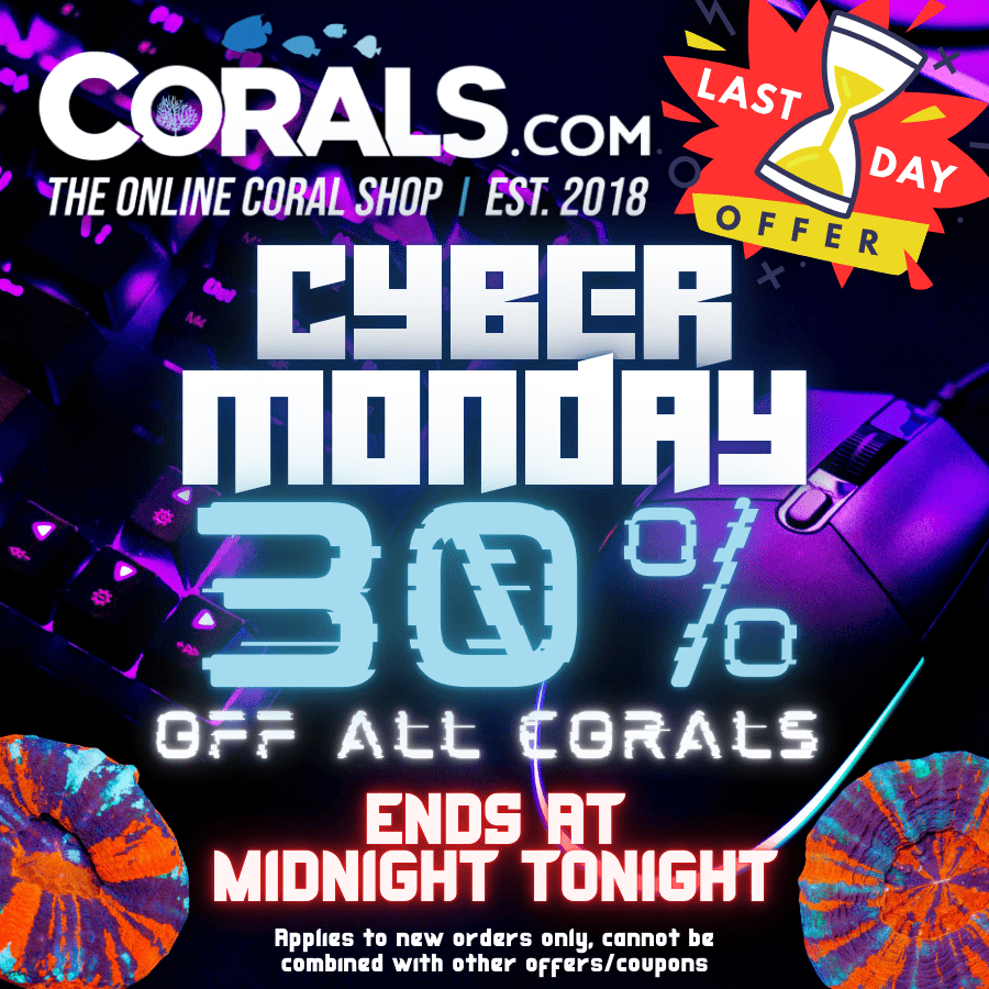 600X600 Cyber Monday Socials R2R.png