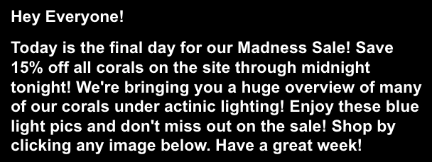 Screen Shot 2023-04-03 at 9.07.49 AM.png