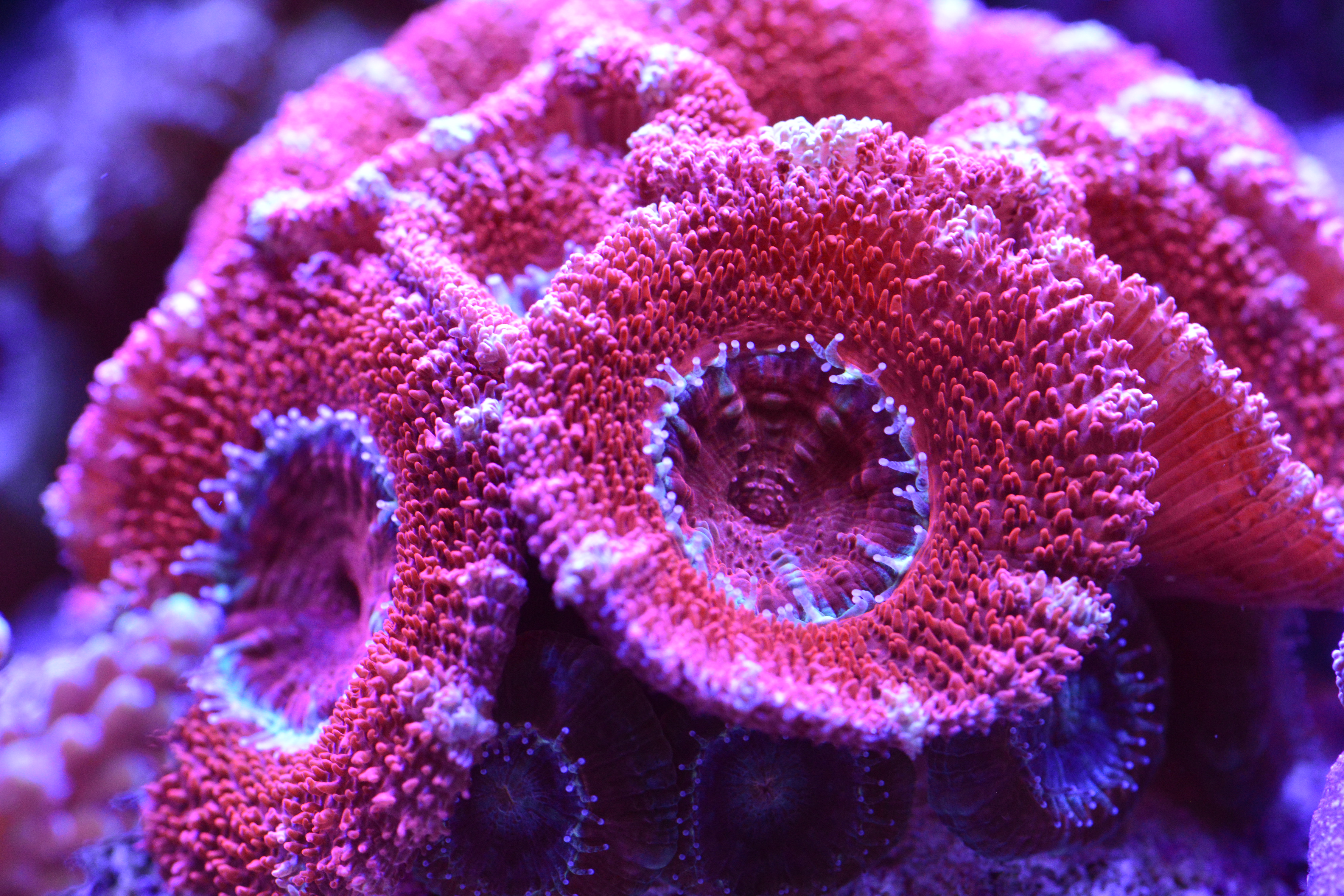 E505D2B0-EC59-4666-B737-9E0AB6257C11.jpeg