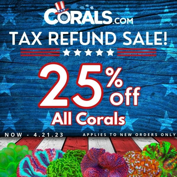 Tax Refund Sale(2).jpg