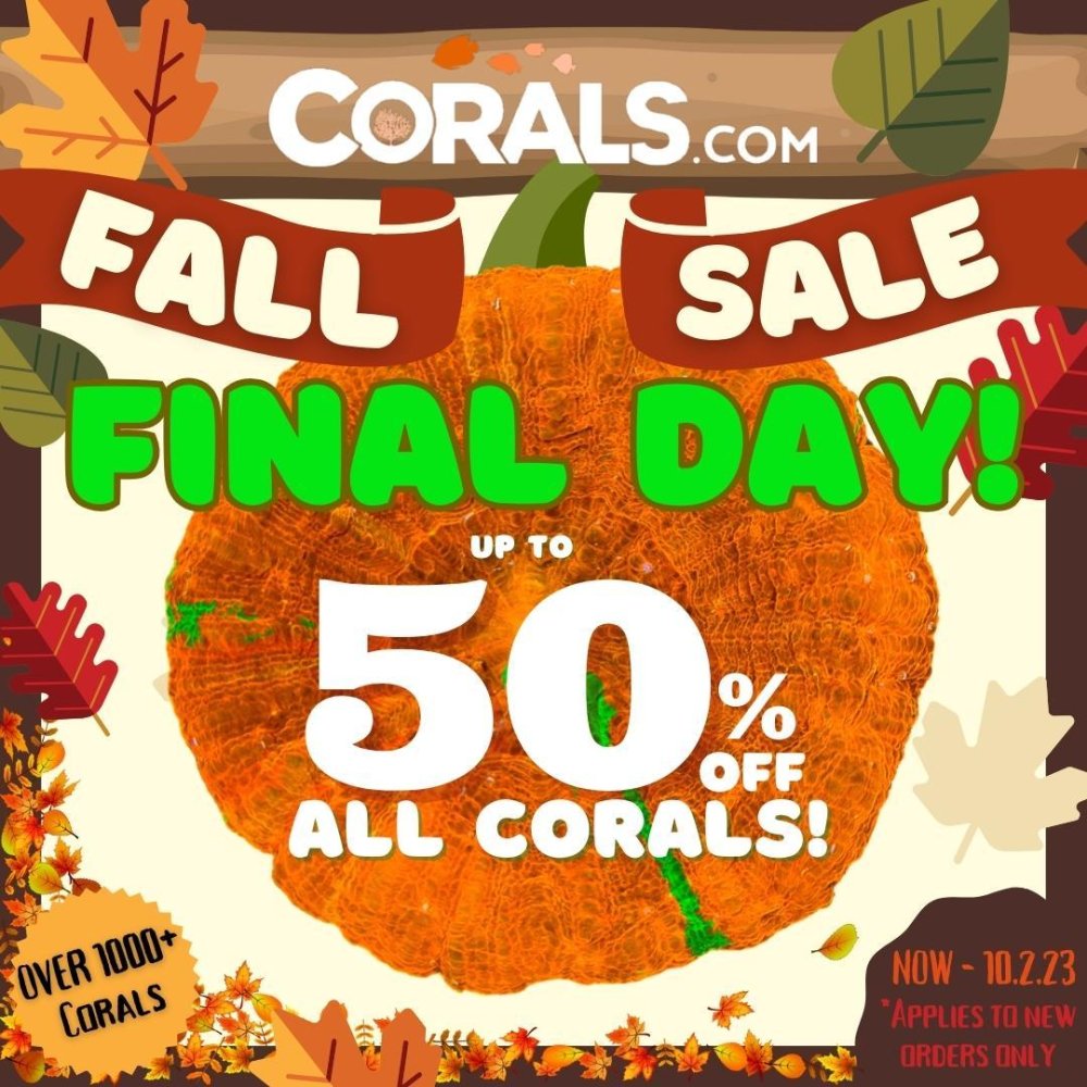 Copy of Fall Sale 2023.jpg