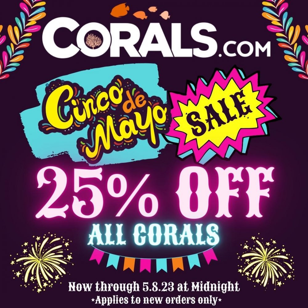 Cinco de Mayo Sale.jpg