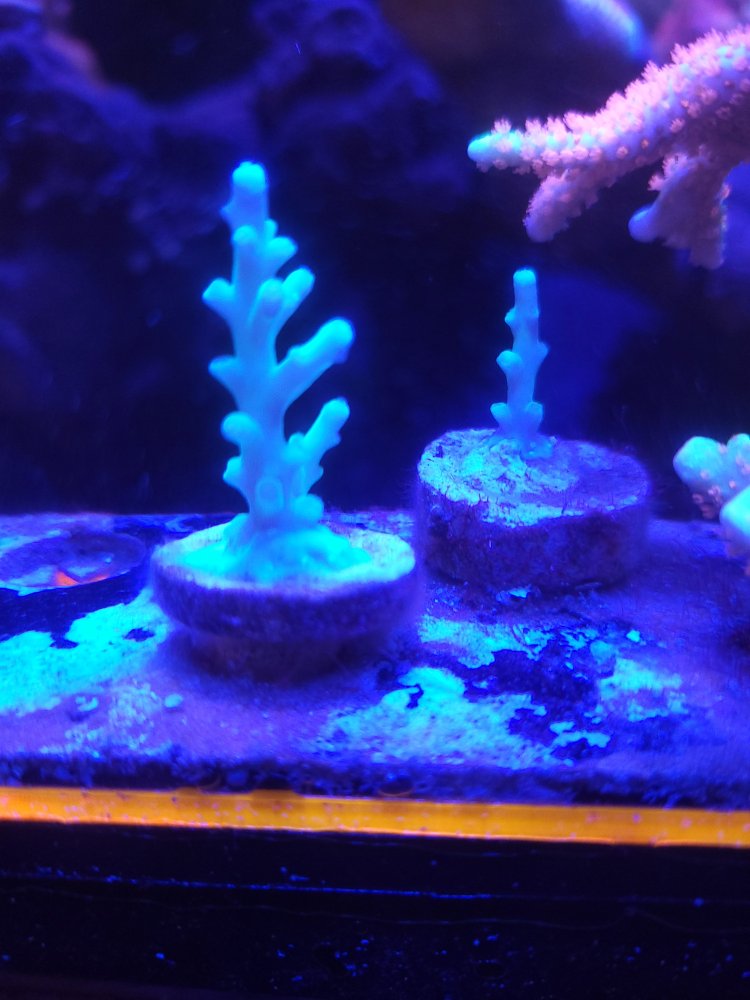 20230119_094551.jpg