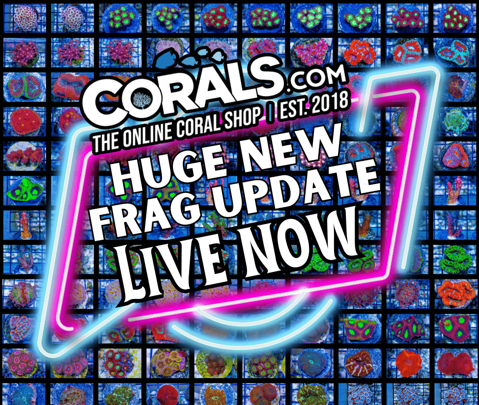 New Frags 1.8(1).png