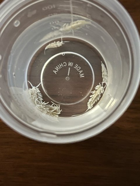 image0 (13).jpeg