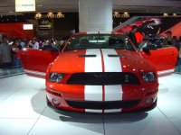 SHelbyGT500.jpg