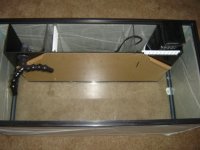 40 breeder AIO tank set up 004.JPG