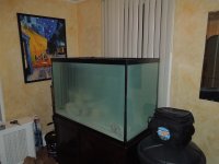 New Tank Setup 023.JPG