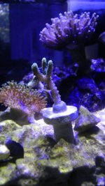 2013-09-24 09.09.55.jpg
