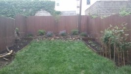 overall yard resized.jpeg