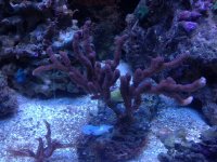 IMG_1375.jpg