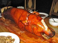 lecHon.jpg