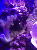 IMG_2717.jpg