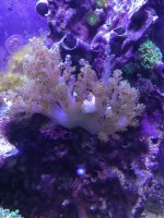 IMG_2724.jpg