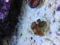 IMG_9035.jpg
