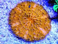 DSCN3551.JPG