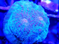 DSCN3591.JPG
