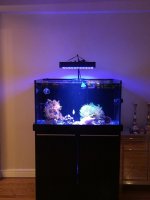 Tank 5.jpg
