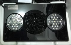 E7E219AF-32D4-4534-B330-D3A5CBA212A6.jpg