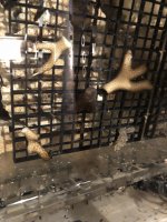 IMG_1701.jpeg