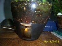 terrariumbowldrainagecanal2.2.jpg