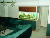 p0000010.jpg