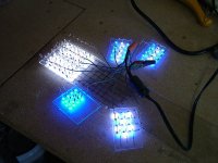 fish lights 001-small.jpg