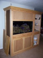 fishtank 128 (Custom).jpg