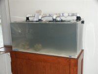 Tank-setup-001 (Medium).JPG