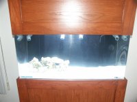 Tank-setup-004 (Medium).JPG