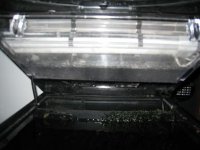 fish tank 007.jpg