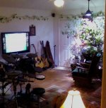 living room vine.jpg