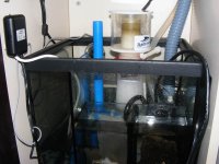 1-sump.JPG