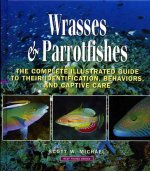 Wrasses&Parrotfishes.jpg