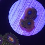 IMG_0402.JPG