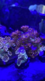 6F111068-E923-4CEB-9681-08BDFE030405.jpeg
