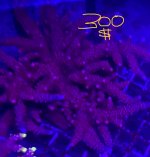 IMG_7141.jpg