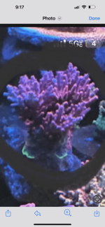 2405A579-96C7-4ABB-8218-AE16F4404762.png