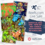 reefscom-livesale-03242023-1024x1024.jpg