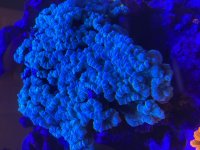 IMG_6141.jpeg