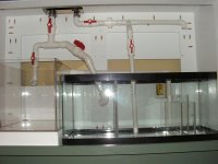 Sump 006.jpg