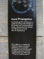 pgh zoo corals propagation 1.jpg