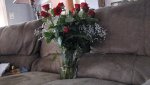 2-14-08 1-800-FLOWERS Roses 001_800x450.jpg